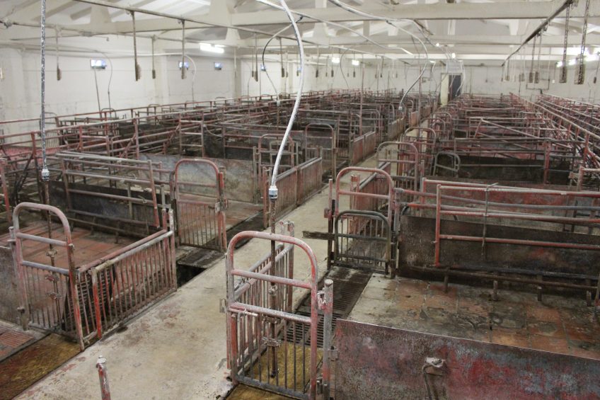 Total emptiness in a Lithuanian farm, when it lost all animals due to ASF in 2015. Photo: Vincent ter Beek