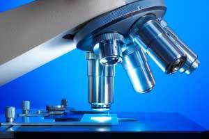 New FSIS testing for residues in pork