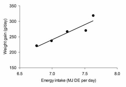 What limits growth in piglets?
