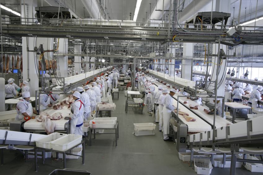 Russian industry profiting from sanctions – for now