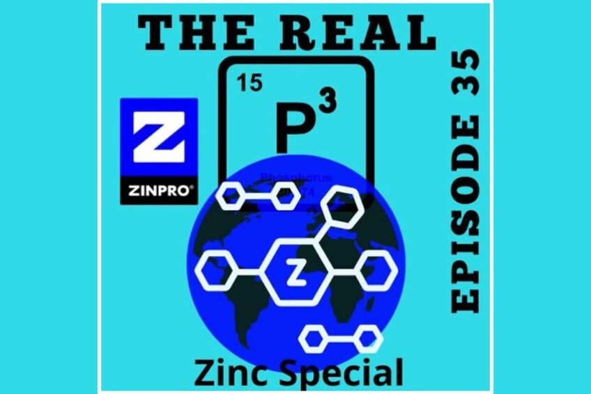 Podcast: Zinc 2021 special global perspectives