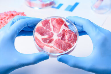 cultivated meat