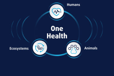 Comprehensive and effective sanitary strategies: Key to changing the course of AMR