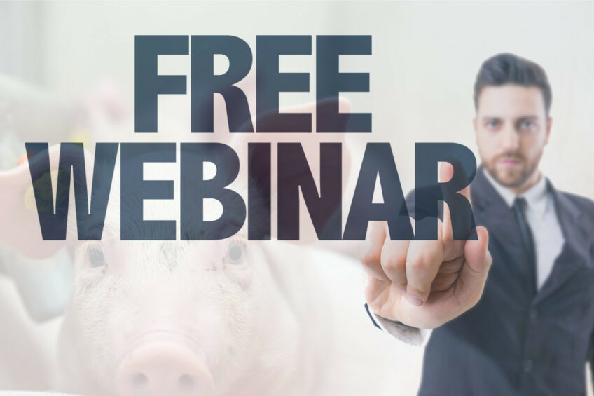Coming soon: Webinar on high levels of hygiene on pig farms