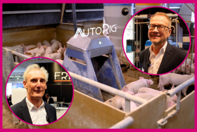 Freeda Solutions: How smart tech is transforming the future of pig farming