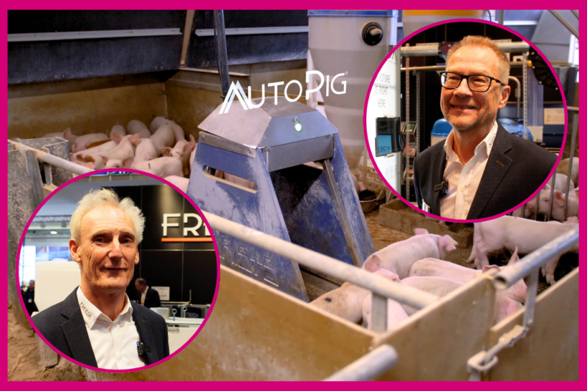 Freeda Solutions: How smart tech is transforming the future of pig farming