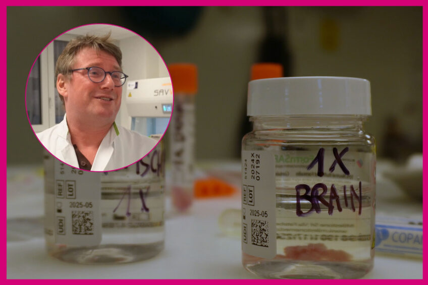 VIDEO: A look behind the scenes in a diagnostic lab