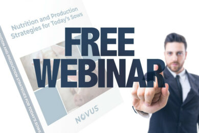 Coming soon: Webinar on sow nutrition and production strategies