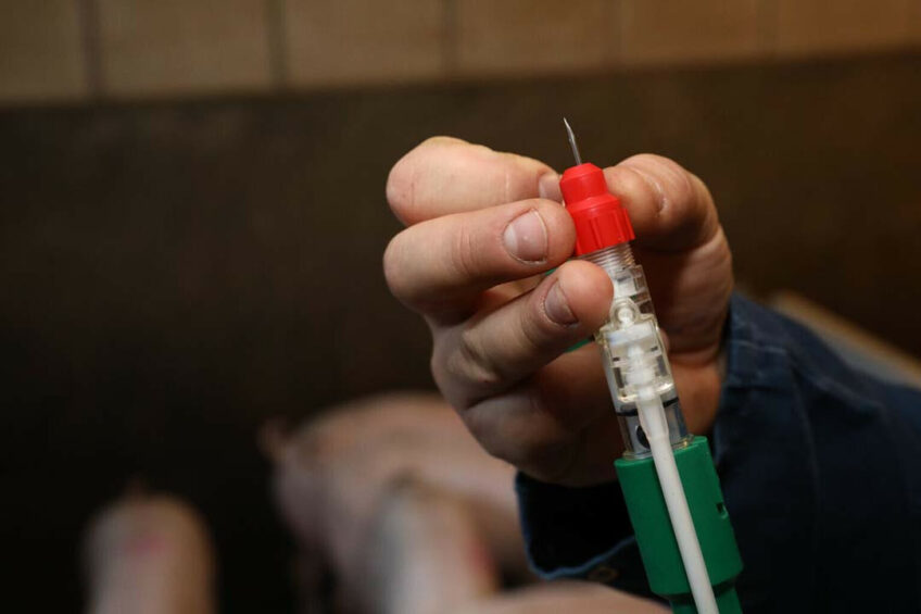 A vaccination is made ready for pigs. This picture is not related to the research described. Photo: Henk Riswick