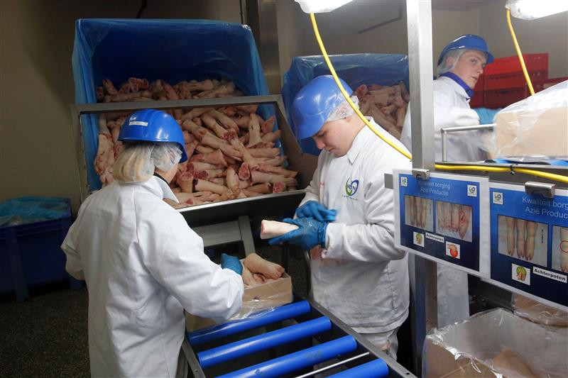 Pig trotters are being prepared for export at a packing plant. They are in high demand in China. Photo: Bert Jansen