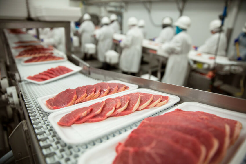 Slices of pork on a conveyor belt waiting to be shipped to consumers. Photo: Shutterstock