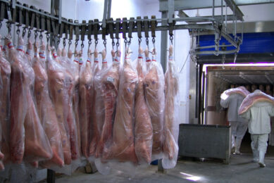 Pig carcasses in Brazil waiting to be exported. Photo: Daniel Azevedo