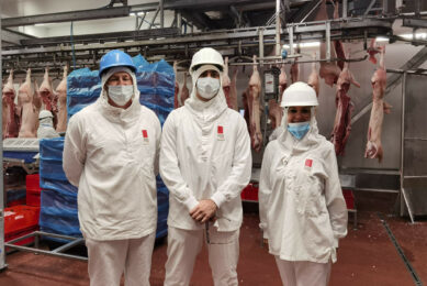 Representatives of Paraguay visiting the operations of Costa in Spain, in spring 2025. Photo: Ministry of Industry and Commerce, Paraguay (MIC).