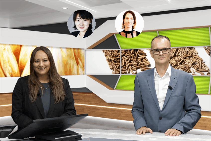 Webinar feed efficiency