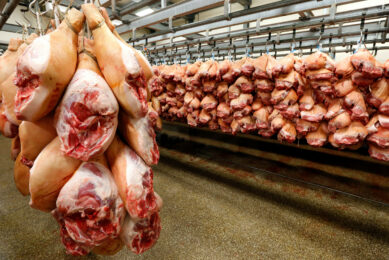 Pig meat in storage waiting for overseas transport. Photo: Bert Jansen