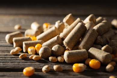 Growth returns to French feed market amid disease challenges