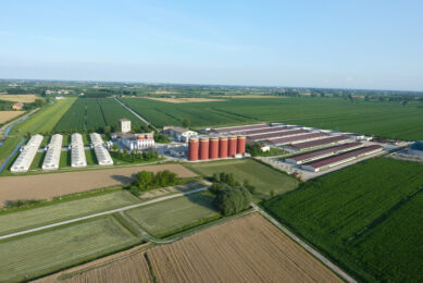 Aerial picture of one of the sites of Bompieri Farms in northern Italy. Photo: Bompieri Farms