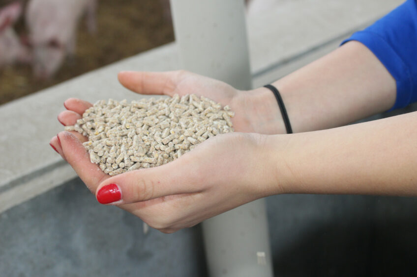 The production of pig feed in the EU dropped marginally. Bulgaria was a positive exception with 9% growth. Photo: Vincent ter Beek
