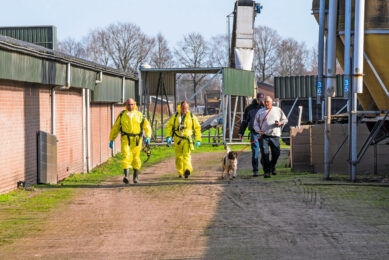 Many biosecurity improvements encompass practical measures, but HPAI control also requires a strong governance model. Photo: Henk Riswick.