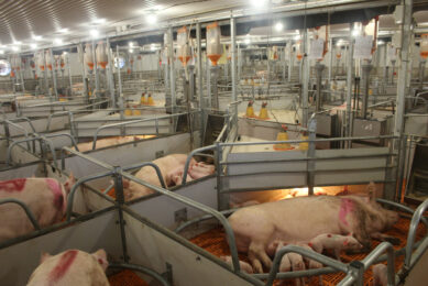 Overview of the room with maternity rings. It is remarkable how little iron can be seen. Photos: Vincent ter Beek