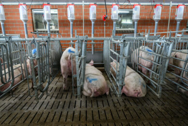 Photo: Frank Uylenbroek
