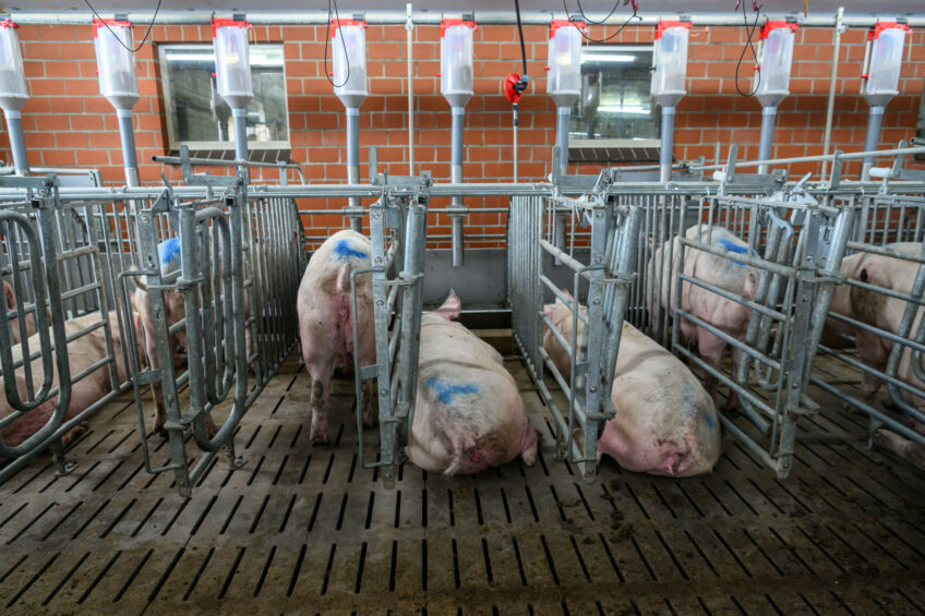 Photo: Frank Uylenbroek