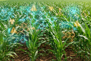 Corn remains one of the highest‑risk commodities. In Northern America, 88% of corn samples contained FUM, while DON and ZEN were also prevalent. In Asia, corn contamination was even more severe, showing multi‑mycotoxin exposure at extreme levels. Image created with the help of AI (Reve.art)