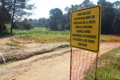 Sign near the Catalan village Bellaterra, warning pedestrians to stick to the paths and not roam into the forests, due to ASF. Photo: Vincent ter Beek