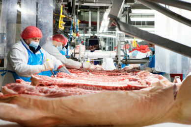 Snapshot of a Westfleisch slaughterhouse in Coesfeld, Germany. The processor has 3 slaughterhouses that together can slaughter 150,000 pigs/week. Photo: Westfleisch