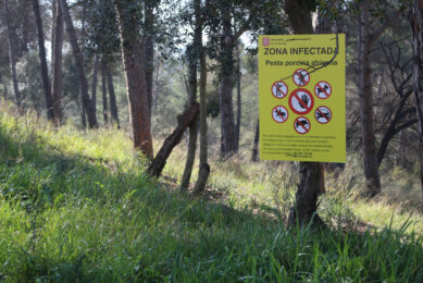 Picture: Warning signs to members of the public not to enter the forest around the Autonomous University of Barcelona. Photo: Vincent ter Beek