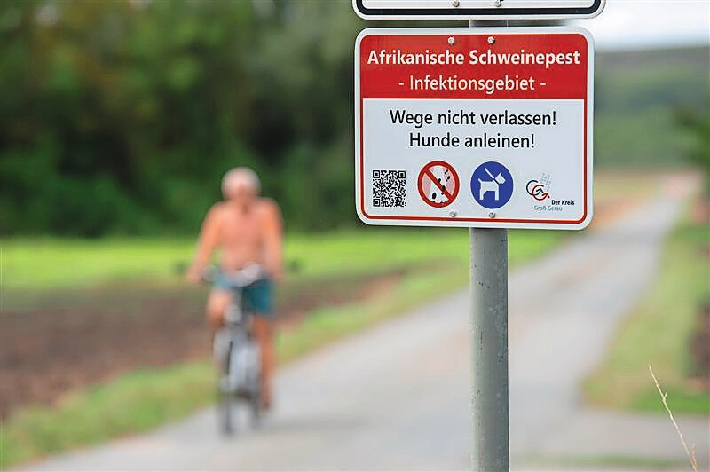 A sign in Hesse state, Germany, warning visitors of ASF infections. Photo: Twan Wiermans