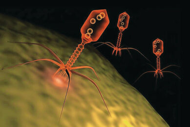 Computerised illustration of bacteriophages in action. Photo: Dreamstime | Monika Wisniewska