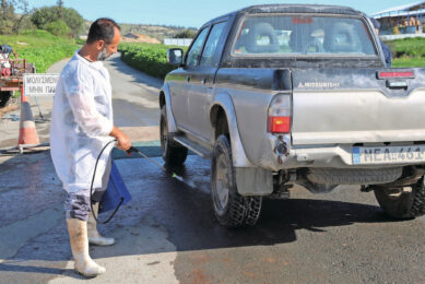 Biosecurity measures have been stepped up in Cyprus ever since FMD emerged on a cattle farm in Larnaca district on February 19. Photo: George Christophorou | Xinhua | ANP