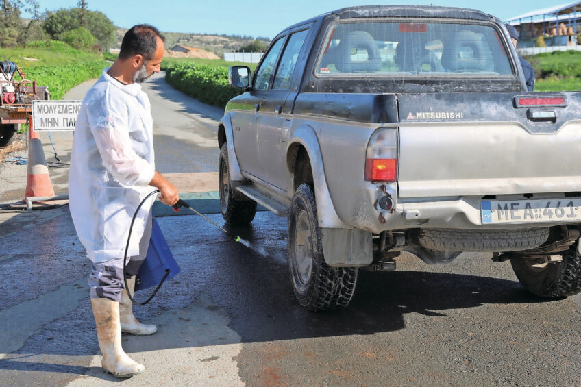 Biosecurity measures have been stepped up in Cyprus ever since FMD emerged on a cattle farm in Larnaca district on February 19. Photo: George Christophorou | Xinhua | ANP