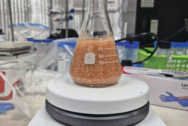 Solvent extraction of DON from infected wheat grains. Photo: University of Saskatchewan