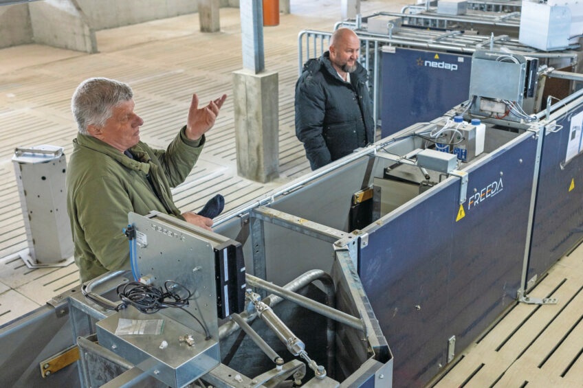 Veterinarian Gheorghe Păștean (left) and Daniel Galis (right) at the feeding stations in the new sow house. Photos: Mark Pasveer