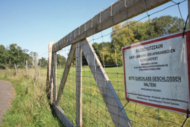 A German fence to limit the migration of wild boar to keep ASF virus under control. Photo: Kees van Dooren/Vincent ter Beek
