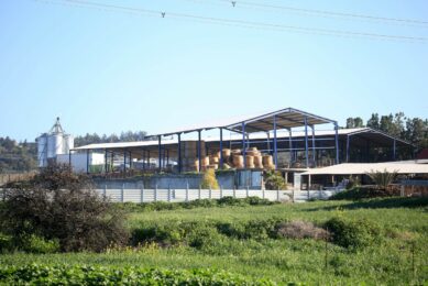 FMD Cyprus/Greece
