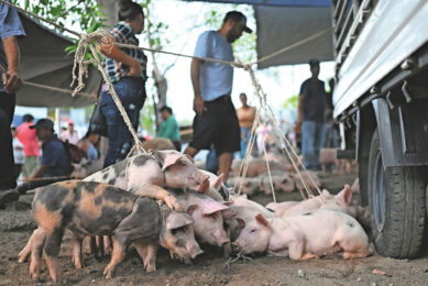 Photo: Marvin Recinos | AFP | ANP