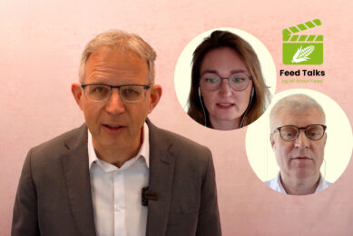 Feed Talks: Heat stress in pigs and poultry