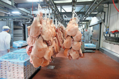 Pork cuts waiting to be exported. Photo: Bert Jansen